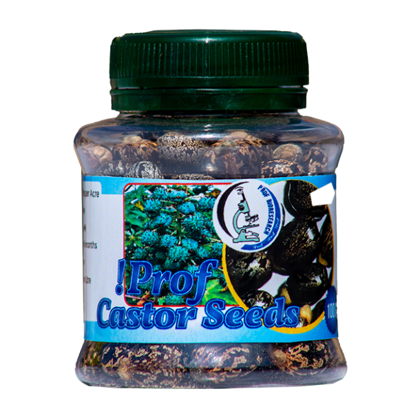 !Prof Castor Seeds